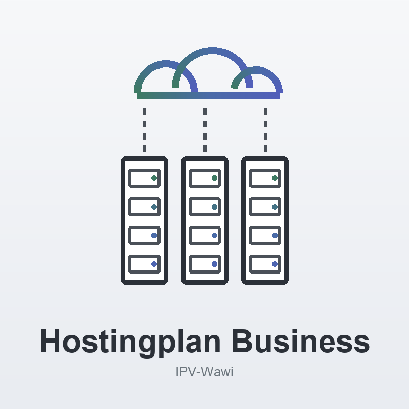 Hostingplan Business